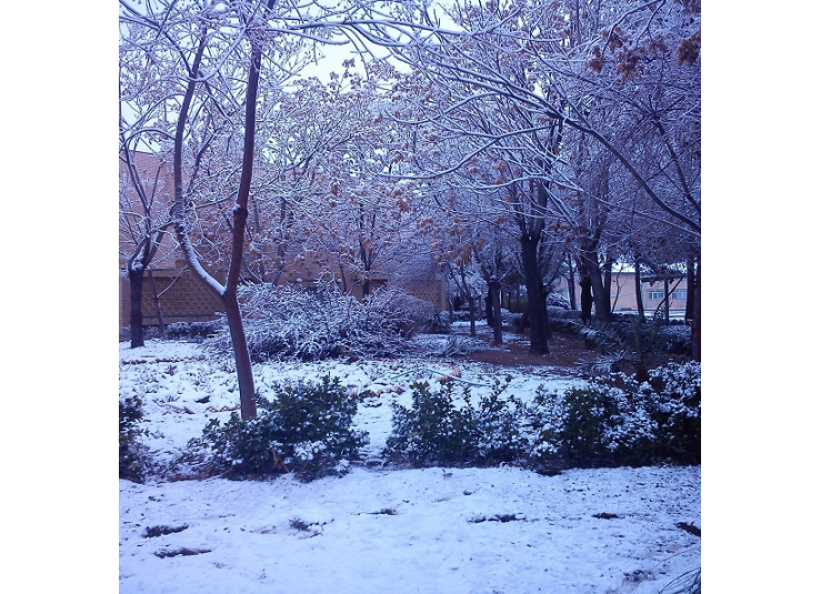 زمستان 1392 -دیماه