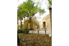 پاییز دانشکده واحد خواهران12
